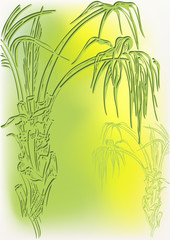 Fototapeta na wymiar Palm tree, green silhouette