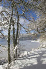 Fototapeta na wymiar Le Lac du Bouchet en hiver (Hte Loire, Auvergne)