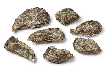 Photo sur Plexiglas Crustacés Pacific oysters