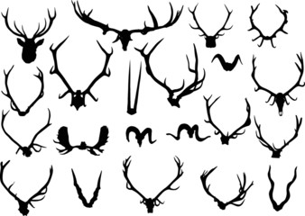 collection of twenty one antler and horns