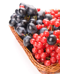 Fresh cranberries and grapes in basket isolated on white backgro