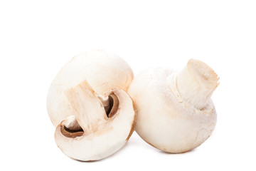 Fototapeta na wymiar mushroom on white