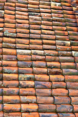 Clay Roof tiles
