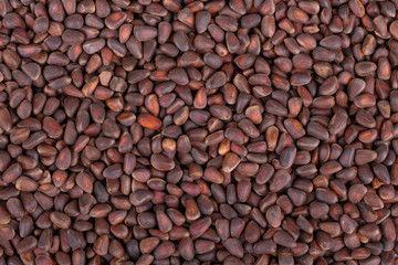 Pine Nuts