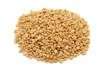 Fenugreek