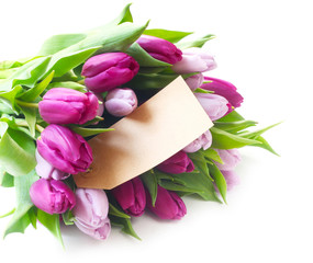 Tulips