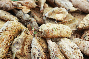 fresh honey in the comb