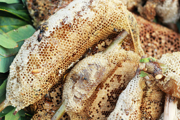 fresh honey in the comb