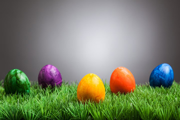 Colored easter eggs in grass, gray background