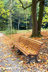 Bench