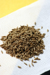 Cumin is a flowering plant from the east Mediterranean 
