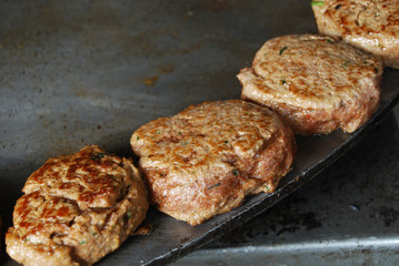 Mughlai cuisine is a style of cooking developed in the Indian