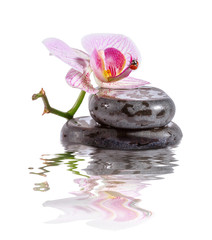 Fototapeta na wymiar Zen stones and orchid with reflection in water.