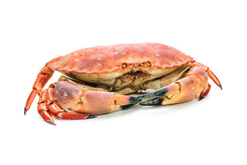 red boiled crab