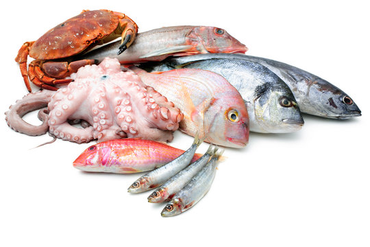 Fototapeta seafood isolated on white background
