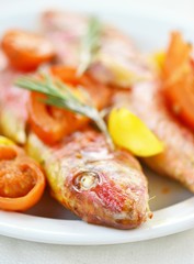 baked surmullet with cherry tomatoes,garlic and rosemary