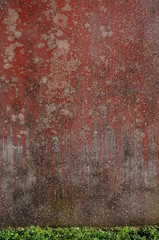 Hintergrund Wand mit Flechten im Streiflicht