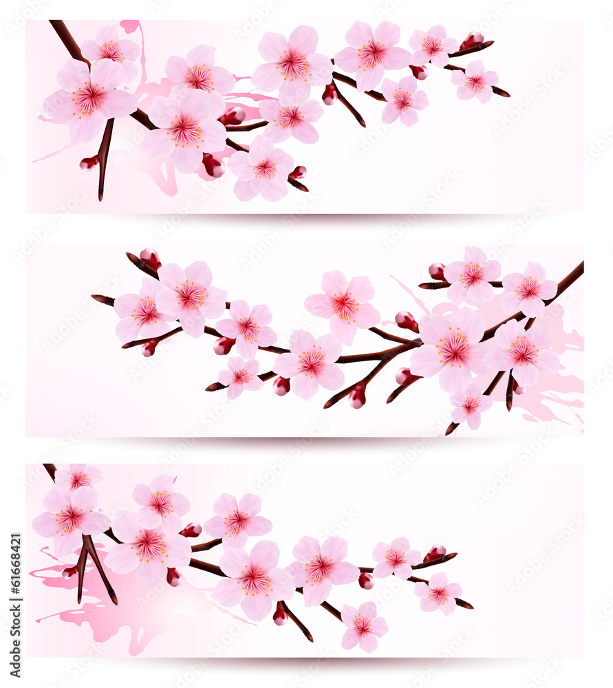 Poster three spring banners with blossoming sakura branches. vector ill