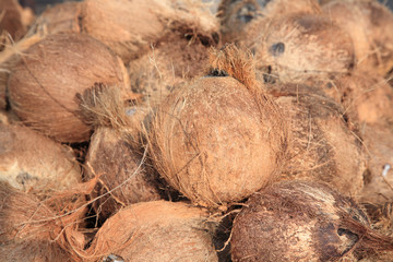 Dry  coconut shells at market place