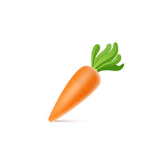 Vector isolated carrot