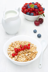 muesli with red currant, fresh berries and jug of milk