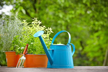concept of gardening and hobby