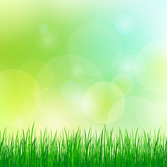 spring background with green grass