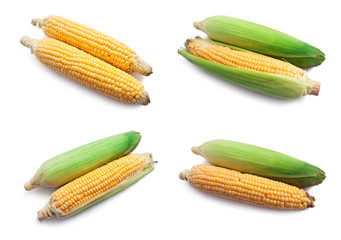 Corn