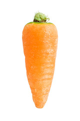 Carrot
