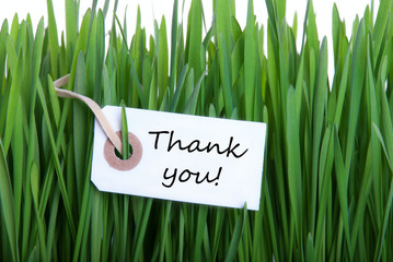 Gras Background with Thank You
