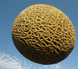 conceptual image of muskmelon