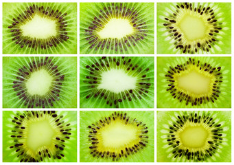 Fototapeta premium Kiwi