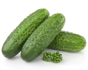 Cucumber