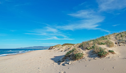 Fototapeta na wymiar dunes by the sea