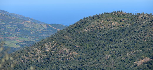 maquis de kabylie