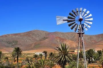 Fototapeten landscape of Antigua, Fuerteventura, Canary Islands, Spain © nito
