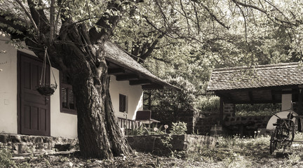 Obraz premium Courtyard