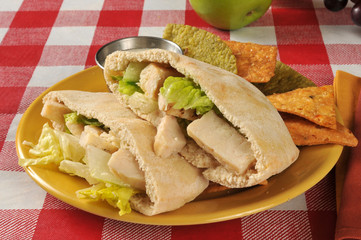 Chicken Caesar pita sandwich © MSPhotographic