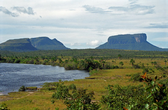 Auyantepui, Canaima National Park, Venezuela