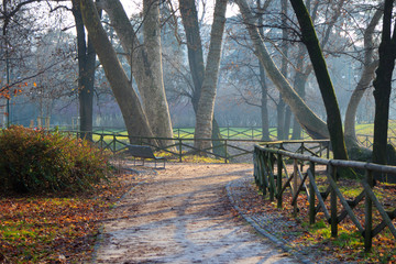 City park in Milan