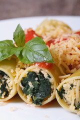 Italian cannelloni with spinach, cheese and tomato sauce