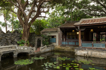 Fototapeta na wymiar Pool, banyan tree and traditional Chinese building