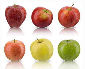 Apples sampler