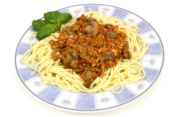 spaghetti