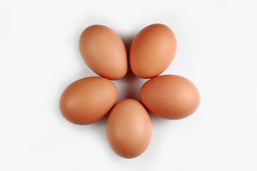 egg