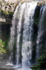Kerikeri waterfall - New Zealand