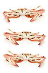 boiled crabs