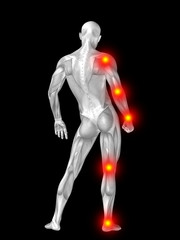 3D human man anatomy with articular pain