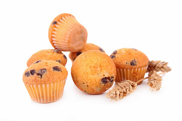 muffin isolated