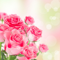 Fototapeta na wymiar Natural pink roses background